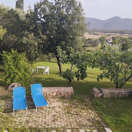 Appartamento In Villa Bruno 奧爾比亞 外观 照片