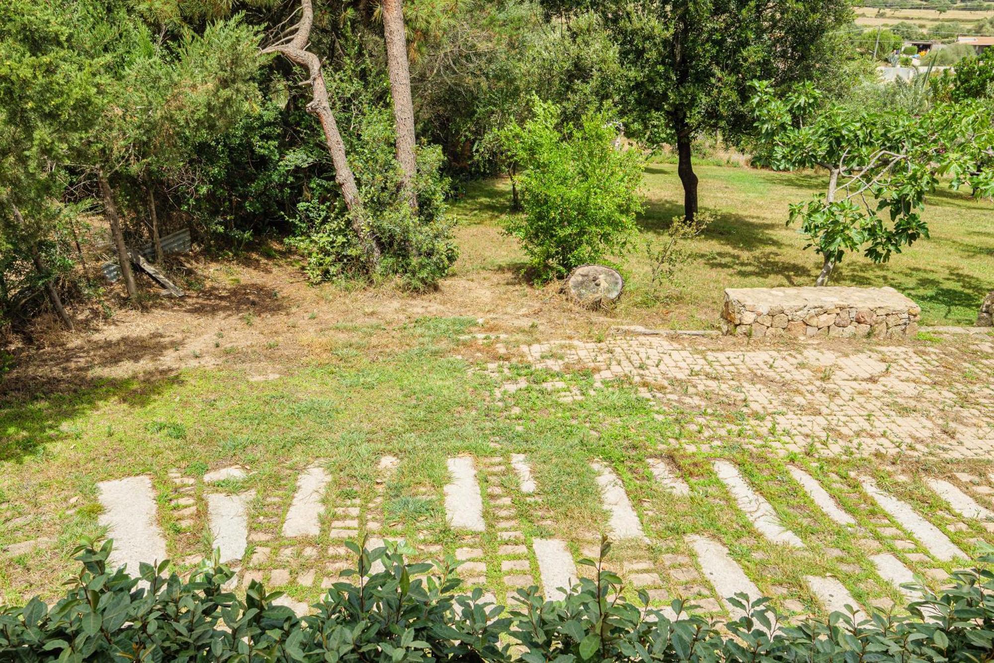 Appartamento In Villa Bruno 奧爾比亞 外观 照片