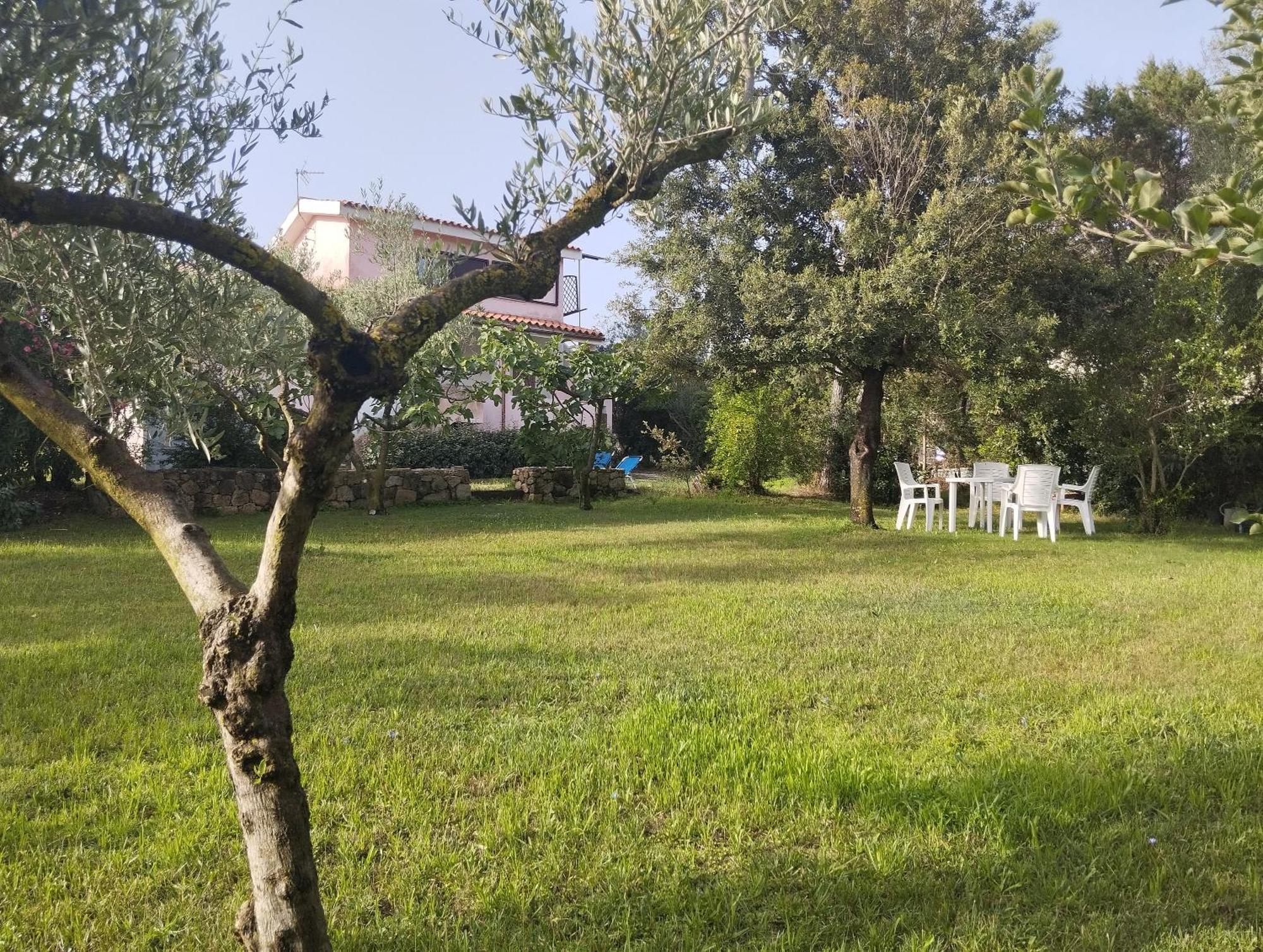 Appartamento In Villa Bruno 奧爾比亞 外观 照片