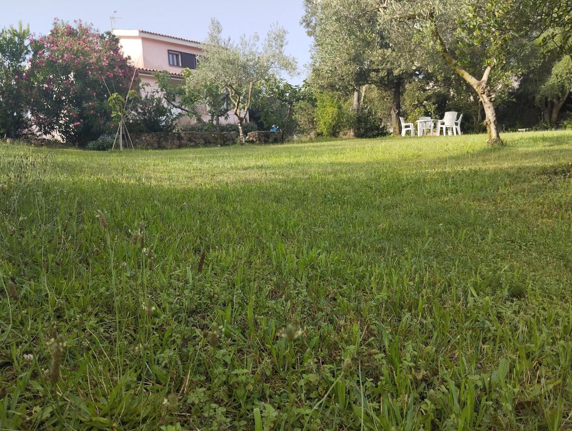 Appartamento In Villa Bruno 奧爾比亞 外观 照片